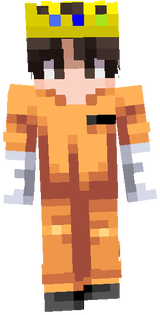 n4esn