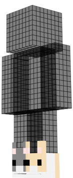 皮皮們