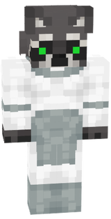mapache