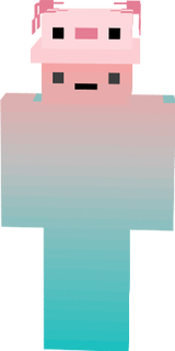 MAIN SKIN