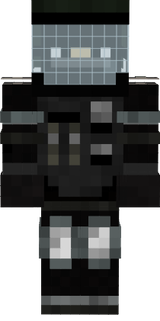 skin 1