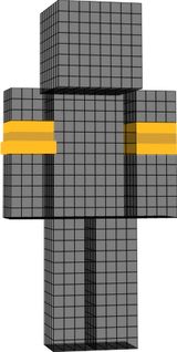 A yellow swimming armbands.