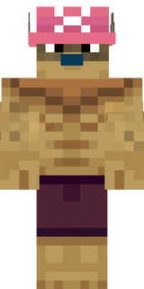 CHPPER SKIN