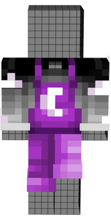 Asexual outfit Steve