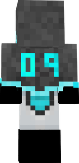 009
