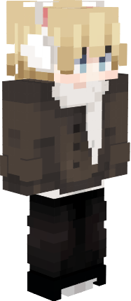 Preview of texture: v