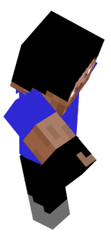 TürkJet Steve