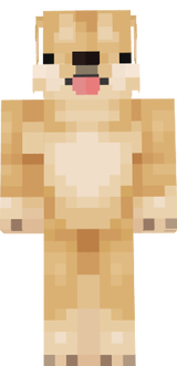 köpek