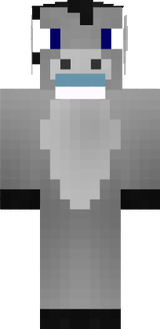 donkey