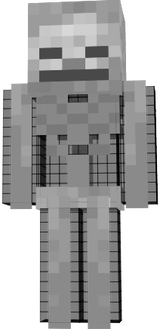 esquelet