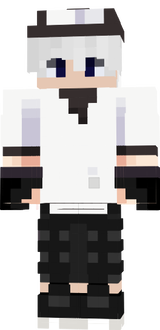 v2