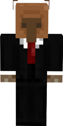 Preview of texture: capi 3