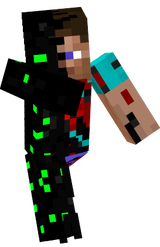 skin