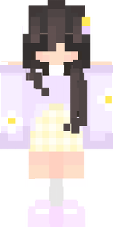 skin for animator