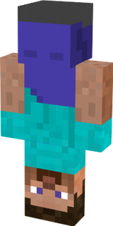 usd steve
