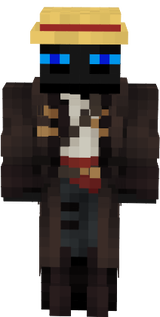 Ender Pirate 