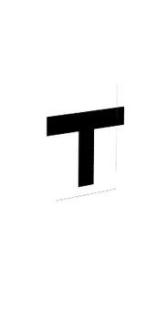 tym228335