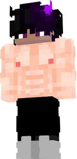 COMBATSINSUETER
