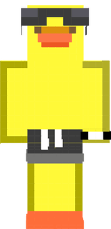 Duck