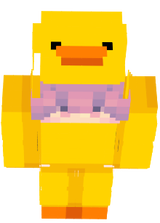 duck main