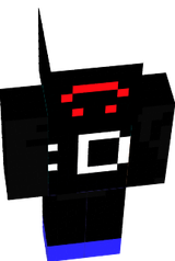 skin