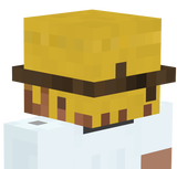 blind