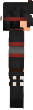 ninja fancsy