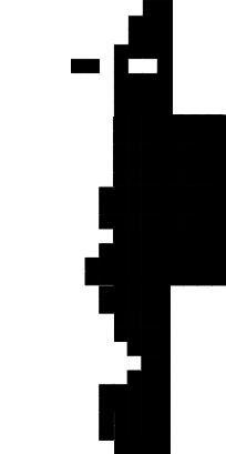 Preview of texture: Black_White_Null