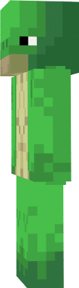 Preview of texture: turtle