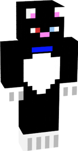 skiniste