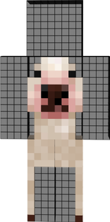 xd