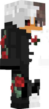 nuevo 
