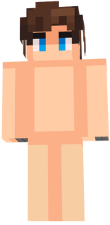 anaskin2