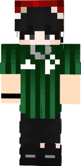 palmeiras natal