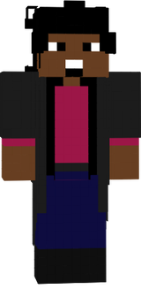 THE WRITER