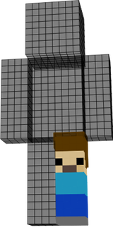 MINI STEVE