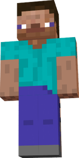 steve