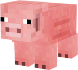 Oink