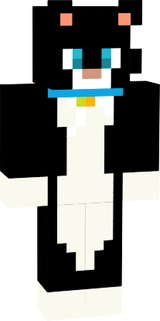 kocourek