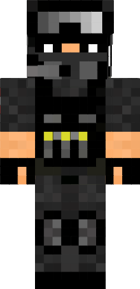 Preview of texture: seal team