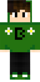 zsp