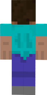 reverse steve