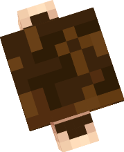 Preview of texture: aaaa