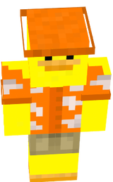 canard