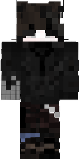 CT-8576 skin official