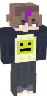 mi skskin