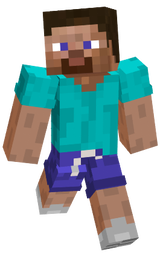 Steve shorts