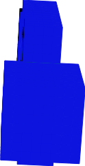 TIM