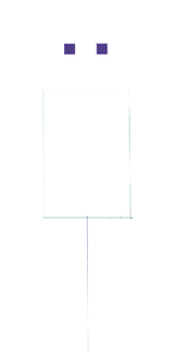 蛹
