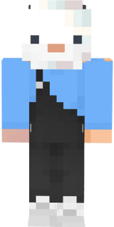lan